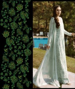 Ferozi embroidery dress with embroidery style