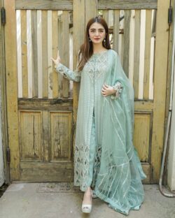 Ferozi embroidery dress with boring embroidery style