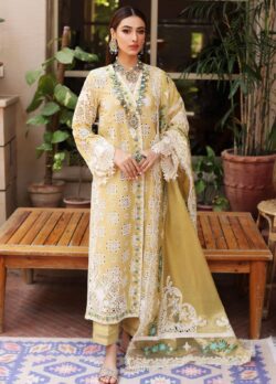 Skin embroidery dress with boring embroidery style