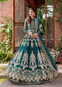 Ferozi embroidery dress with embroidery style