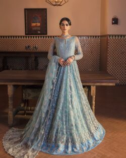 Ferozi embroidery dress with handmade and embroidery style